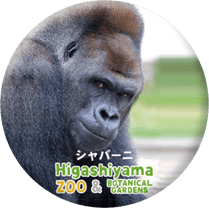 ZOO BADGE-034������С��ˡʥ˥�������