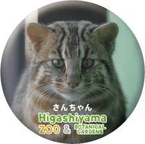 ZOO BADGE-017����������ʥĥ��ޥ�ޥͥ���