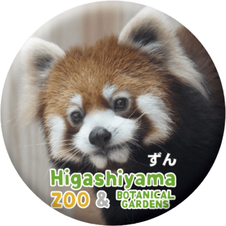 ZOO BADGE-057 ずん（シセンレッサーパンダ） | 東山動植物園の公式