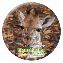 ZOO BADGE-072������ʡʥ��ߥᥭ����