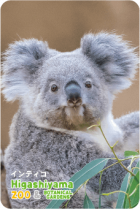 ZOO �ѥͥ�ޥ��ͥå�-015������ǥ����ʥ������