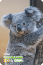 ZOO �ѥͥ�ޥ��ͥå�-007���ʤʤߡʥ������
