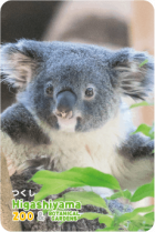 ZOO �ѥͥ�ޥ��ͥå�-022���Ĥ����ʥ������