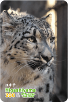 ZOO �ѥͥ�ޥ��ͥå�-013���業���ʥ業�ҥ祦��