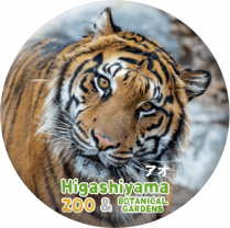 ZOO BADGE-066ޥȥȥʥ