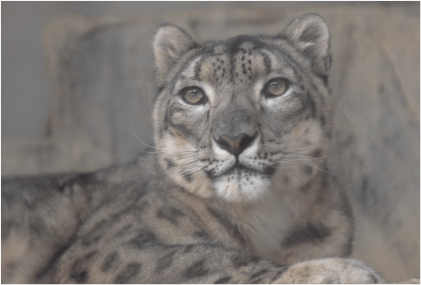 【まとめ売り】ポストカード 閲覧用(1/2) ポストカードいろいろ63枚まとめ売り - メルカリ