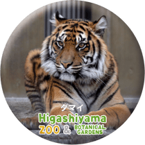 ZOO BADGE-006�����ޥ��ʥ��ޥȥ�ȥ��