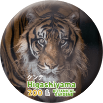 ZOO BADGE-042������ǡʥ��ޥȥ�ȥ��