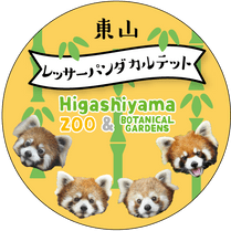 �ޥ����󥰥ơ��ס���å����ѥ�� Ver.2