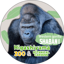 �ޥ����󥰥ơ��ס�����С���