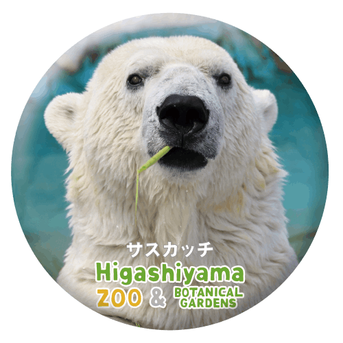 ZOO BADGE-003åʥۥå祯ޡ