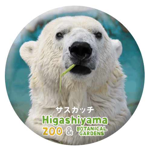 ZOO BADGE-003ۥå祯ޡʥå