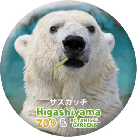 ZOO BADGE-003���������å��ʥۥå��祯���ޡ�