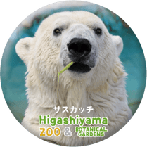 ZOO BADGE-003���������å��ʥۥå��祯���ޡ�