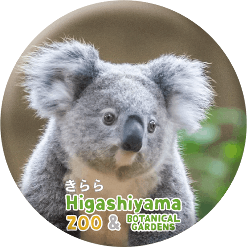 ZOO BADGE-038ʥ