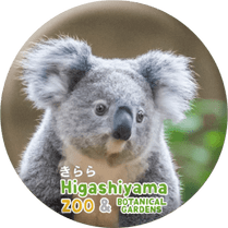 ZOO BADGE-038�������ʥ������