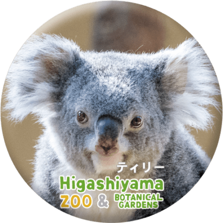 ZOO BADGE-043���ƥ��꡼�ʥ������