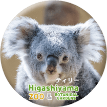 ZOO BADGE-043���ƥ��꡼�ʥ������