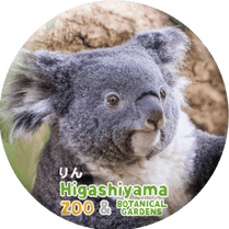 ZOO BADGE-046�����ʥ������