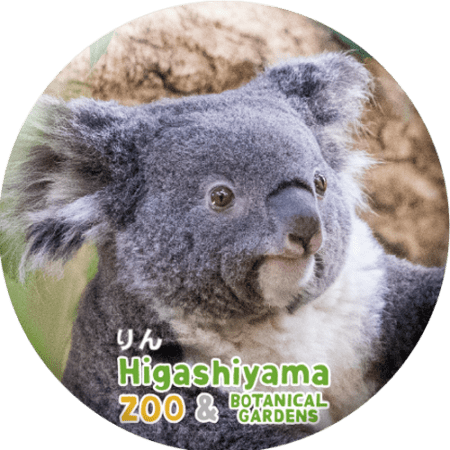 ZOO BADGE-046 りん（コアラ） | 東山動植物園の公式グッズを探す,雑貨