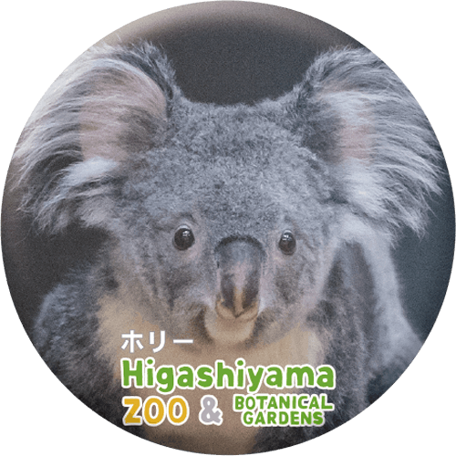 ZOO BADGE-047ۥ꡼ʥ