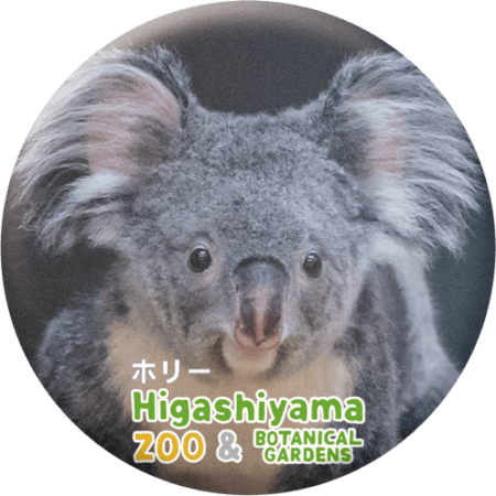 ZOO BADGE-047 ホリー（コアラ） | 東山動植物園の公式グッズを探す
