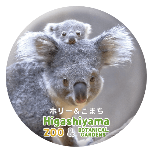 ZOO BADGE-035ۥ꡼&ޤʥ