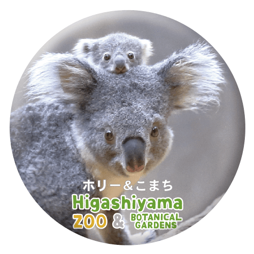 ZOO BADGE-035ʥۥ꡼&ޤ