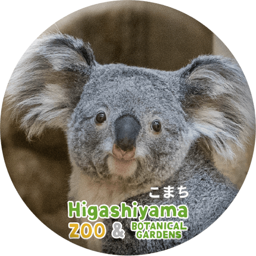 ZOO BADGE-050ޤʥ