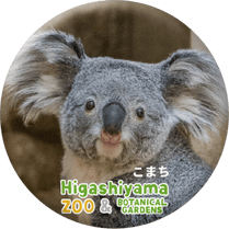 ZOO BADGE-050�����ޤ��ʥ������