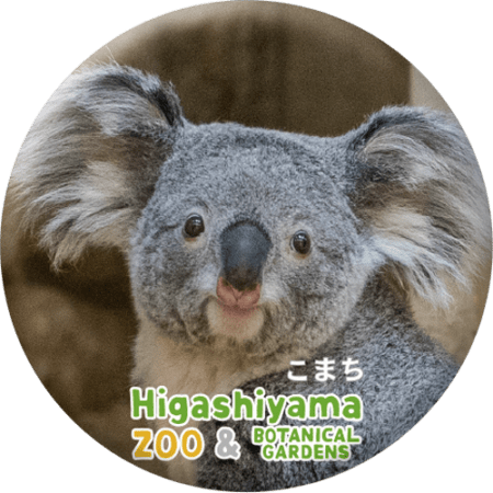 ZOO BADGE-050 こまち（コアラ） | 東山動植物園の公式グッズを探す