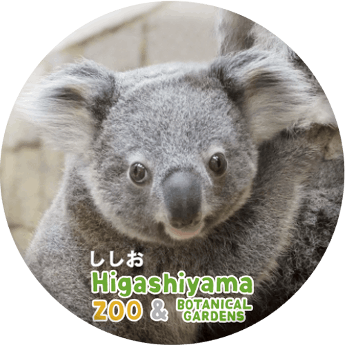 ZOO BADGE-064ʥ