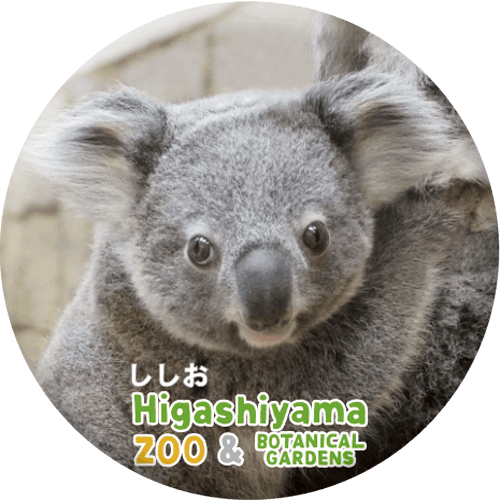 ZOO BADGE-064ʤ