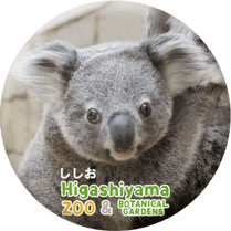 ZOO BADGE-064���������ʥ������