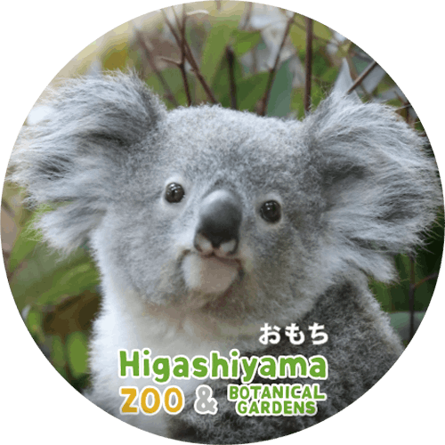 ZOO BADGE-068ʤ