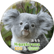 ZOO BADGE-068��������ʥ������