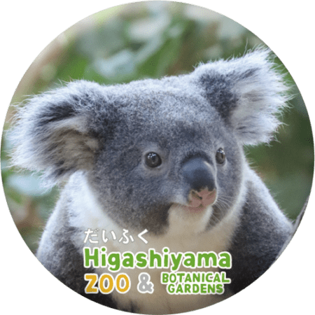 ZOO BADGE-075 だいふく（コアラ） | 東山動植物園の公式グッズを探す