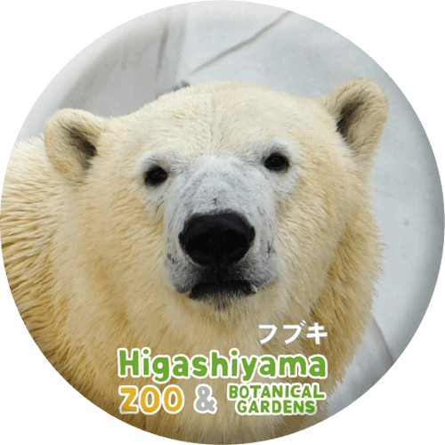 ZOO BADGE-073ե֥ʥۥå祯ޡ