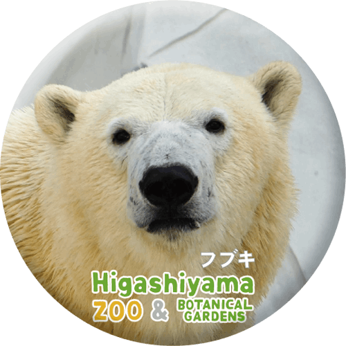 ZOO BADGE-073ۥå祯ޡʥե֥