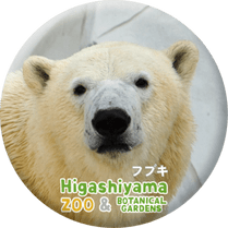 ZOO BADGE-073���ե֥��ʥۥå��祯���ޡ�