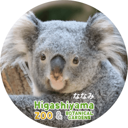 ZOO BADGE-077ʤʤߡʥ