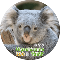 ZOO BADGE-077���ʤʤߡʥ������