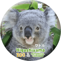 ZOO BADGE-078����ȥ�ʥ������