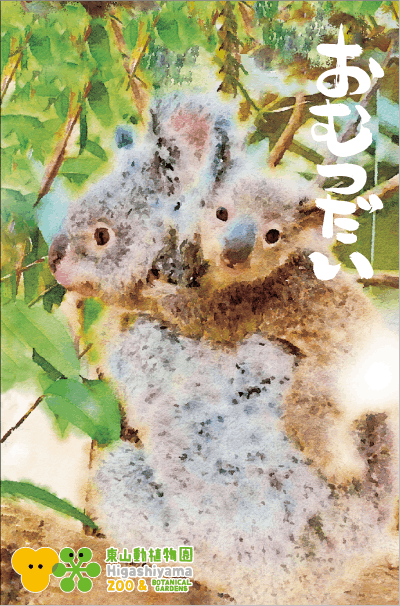 ぽち袋 コアラ「おむつだい」 | 東山動植物園の公式グッズを探す