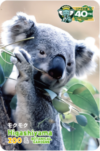 ZOO �ѥͥ�ޥ��ͥå�-025���⥯�⥯�ʥ������