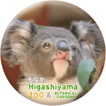 ZOO BADGE-085����ʤ��ʥ������