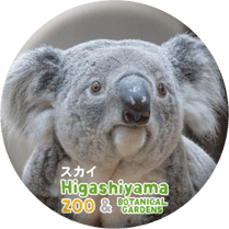 ZOO BADGE-084���������ʥ������