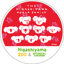 �ޥ����󥰥ơ��ס�Nagi�ָ��򥳥���ե��ߥ꡼2025��