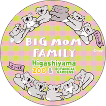 �ޥ����󥰥ơ��ס�Nagi�֥ӥå��ޥޥե��ߥ꡼2025��