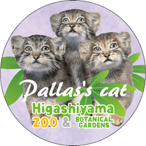 �ޥ����󥰥ơ��ס��ޥ̥�ͥ��ե��ߥ꡼